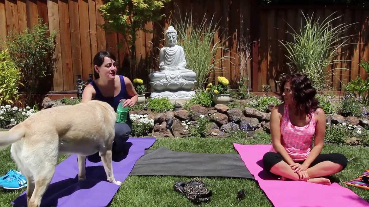 The BARF Diet Commercial (OFFICIAL)
