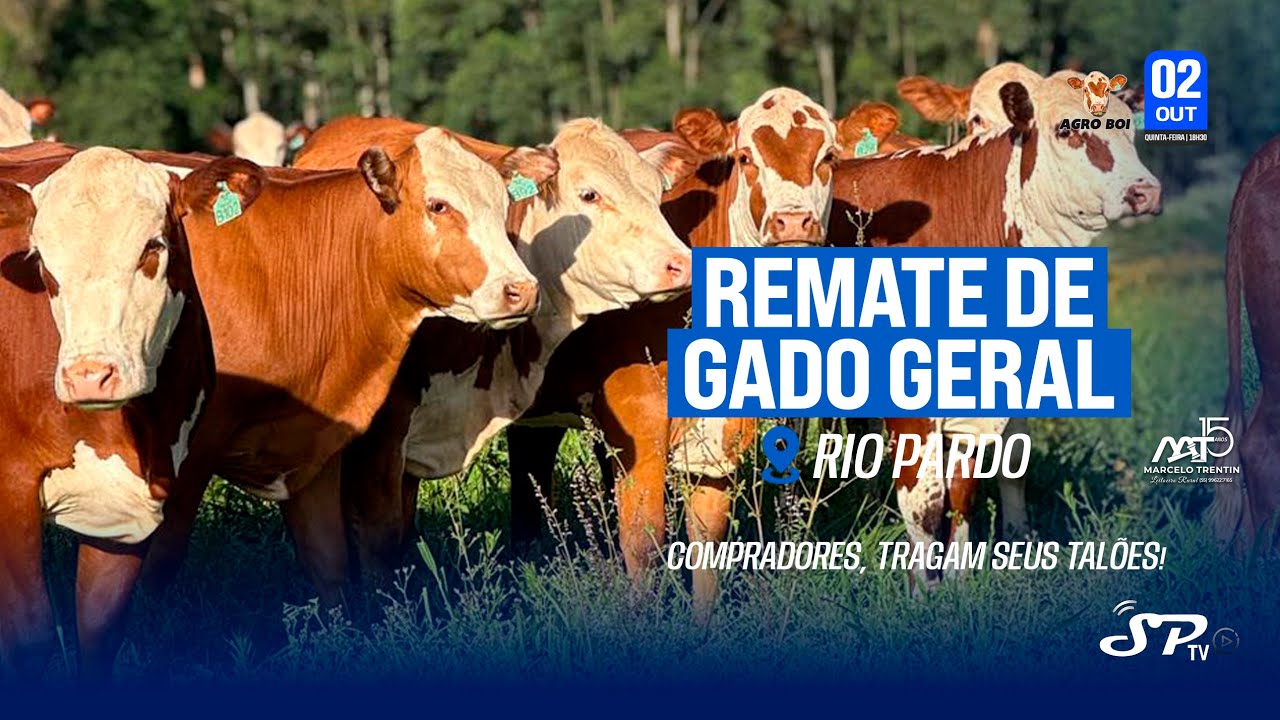 AGRO BOI - REMATE DE GADO GERAL  - RIO PARDO RS (02/10/2025)