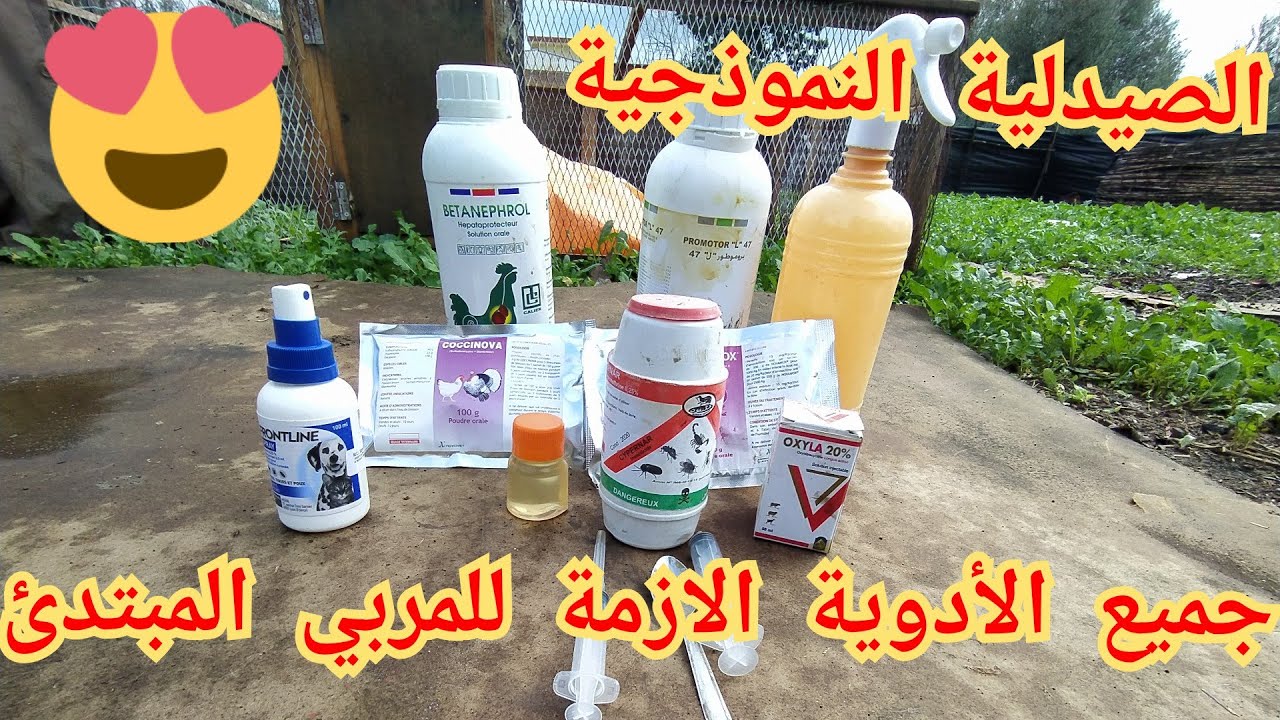 تربية الدجاج البياض:صيدلية صغيرة بأهم الأدوية التي يحتاجها المربي الصغير في مزرعته