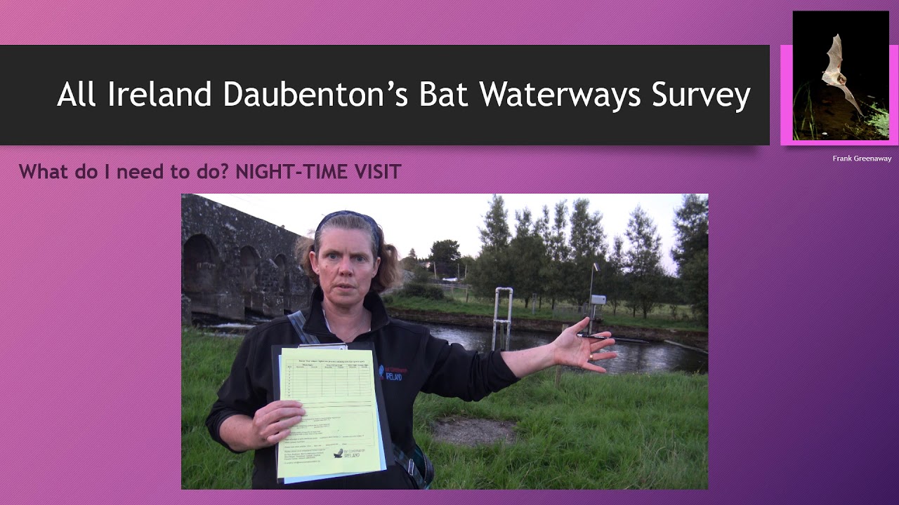 Irish Bat Monitoring Programme Video 2 Waterways Survey