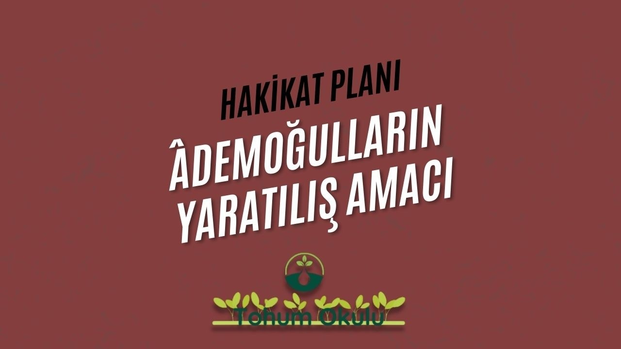 CY 033 | Âdemoğulların Yaratılış Süreci