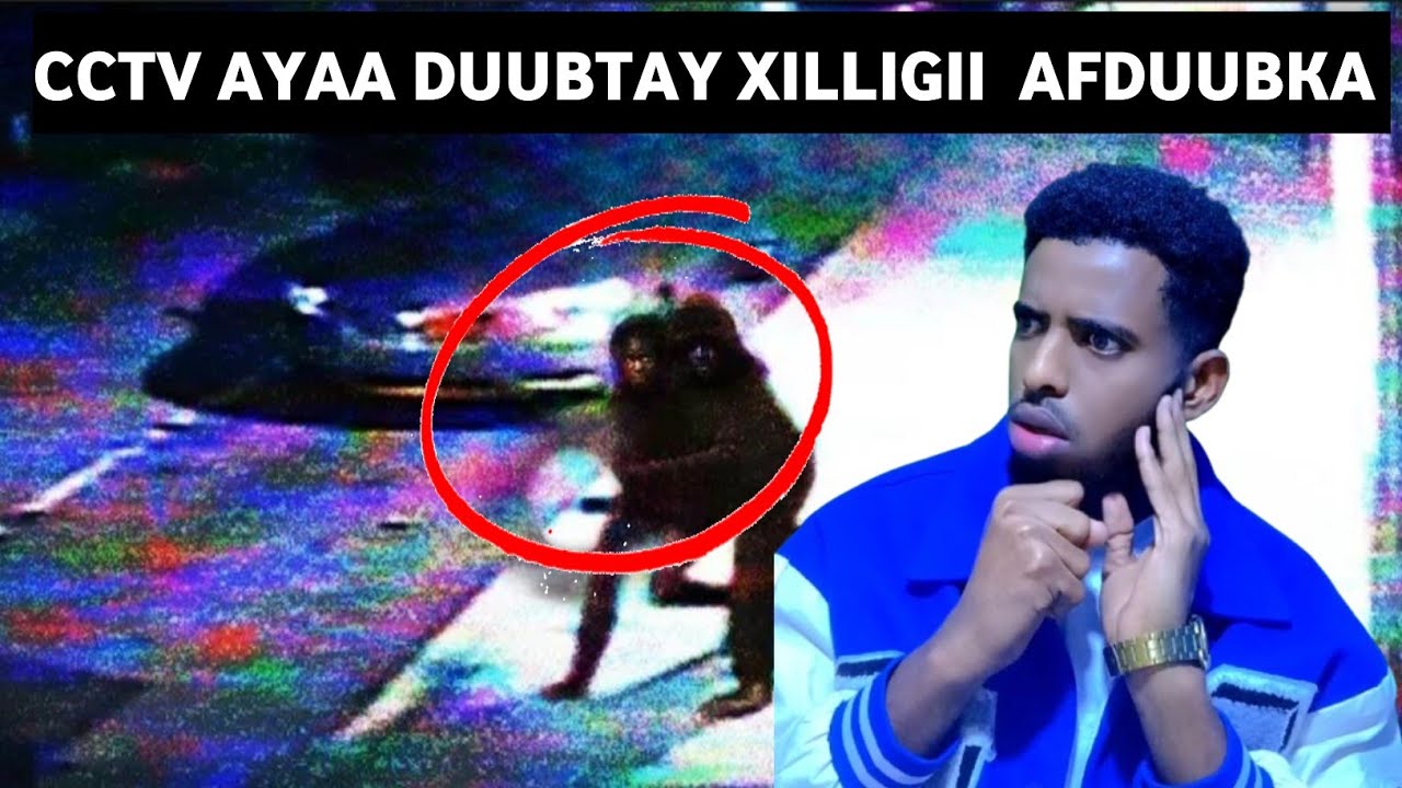 CCTV AYAA SI  LIVE AH UDUUBTAY XILLIGII  AFDUUBKA | Dhacdo filim Ka xiiso badan | Case carleesha