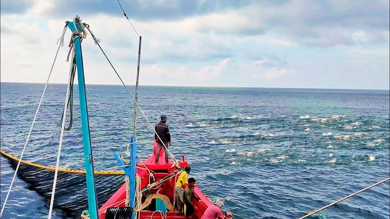 Pukat cincin, Nelayan Indonesia Dapat Banyak Ikan, luar biasa hasil tangkapan nelayan Indonesia
