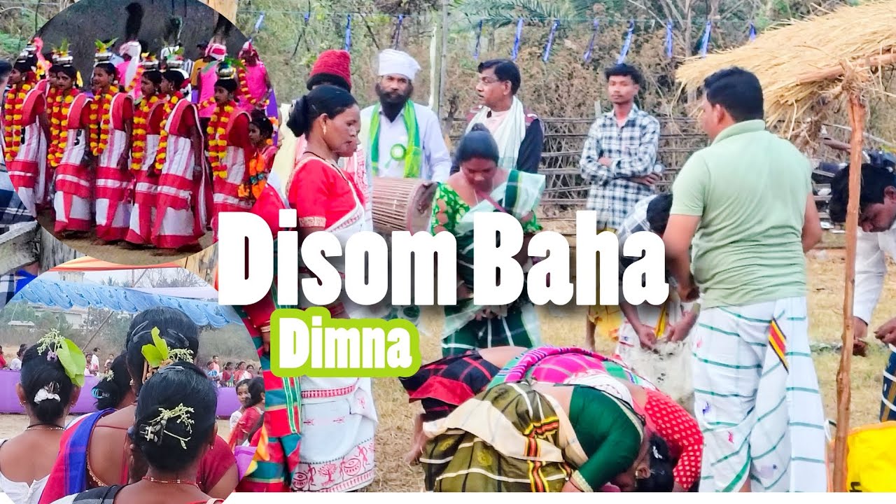 DISOM BAHA🌿 DIMNA JAMSHEDPUR 