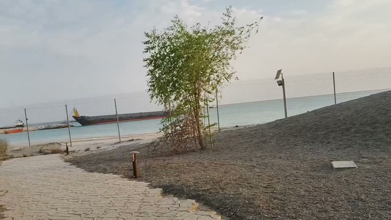 New Red Sea Landscaping Update News ☘️☘️🌵🌵🌵