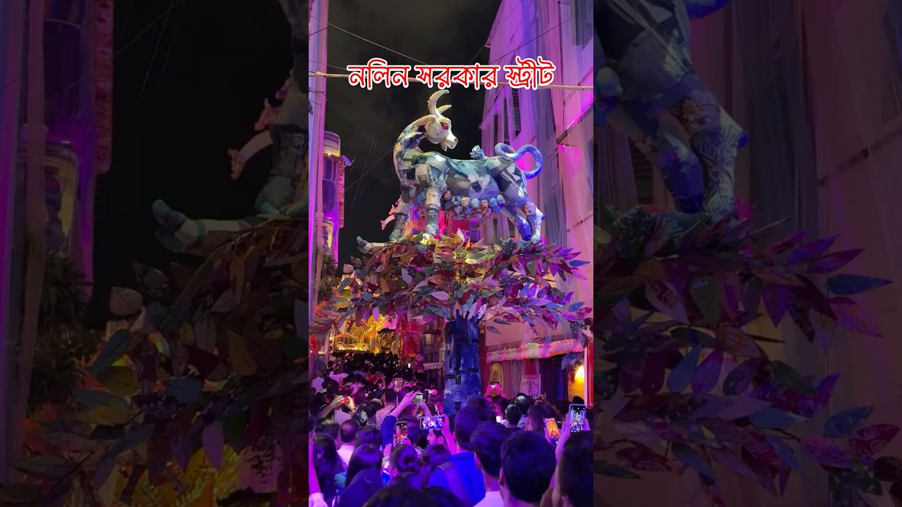 Nalin Sarkar Street Durga Puja 2025 | Nalin Sarkar Street Theme Music #durgapuja2025 #satbhaichampa