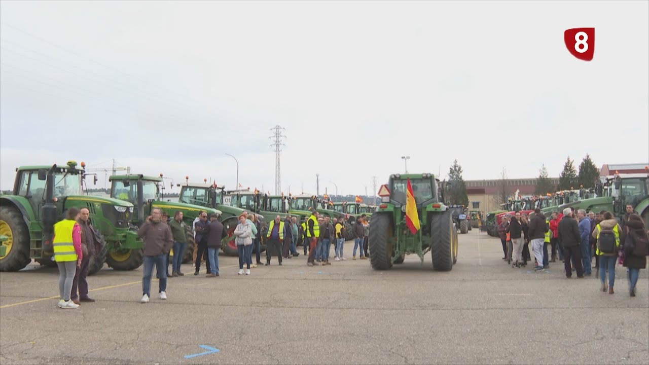 Campo Palentino (15-2-2024)