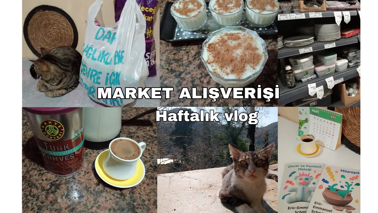 600'tl lik Market Alışverişim / Aburcubur indirimi / Muhallebi yaptım / yeni kitaplar 📚 