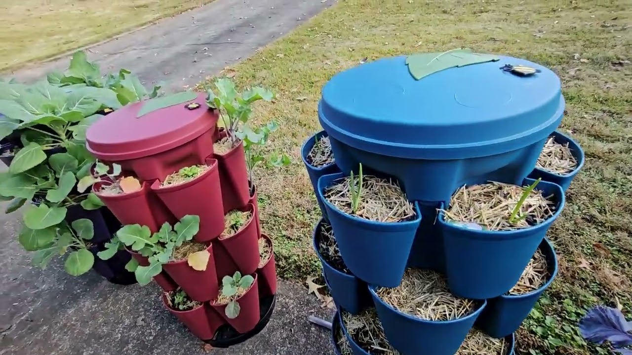 Vlog+Fall Mini Garden Tour 11/16