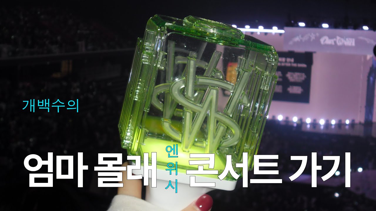 월세보다 비싼 콘서트 후기