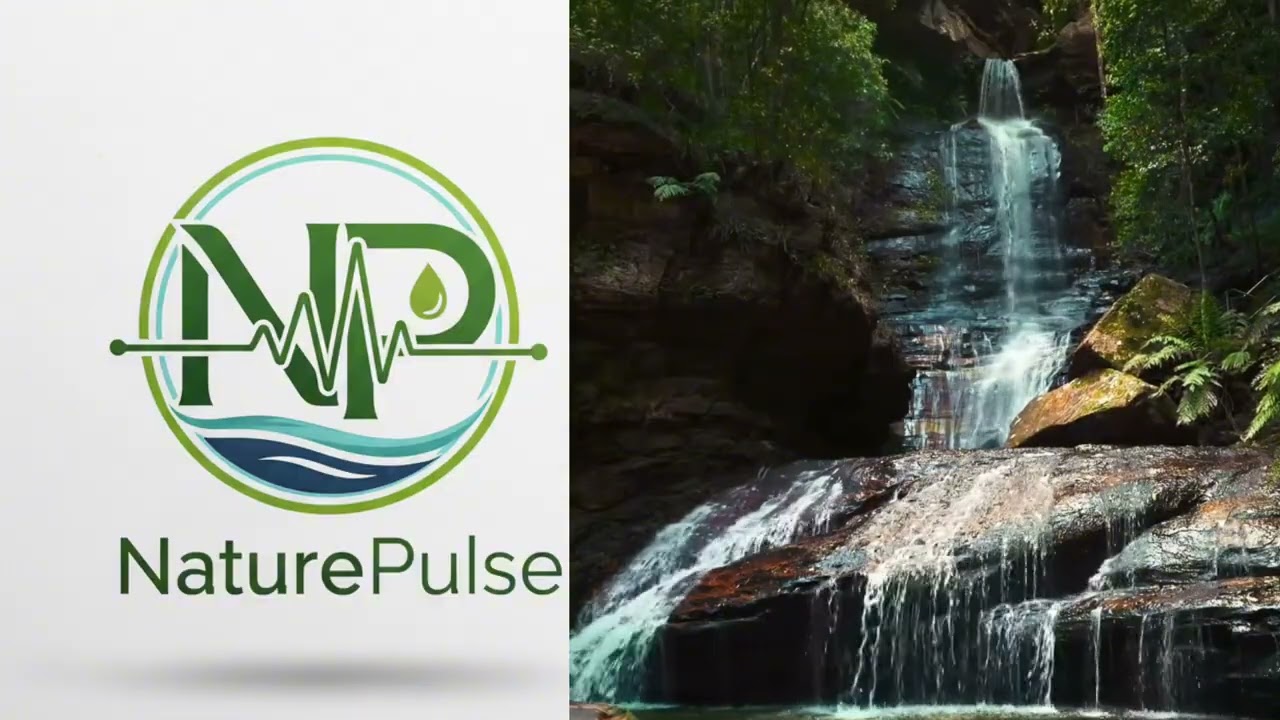 &ldquo;The Sound of Waterfall - Pure Nature ASMR for Mind Relaxation 💧&rdquo;