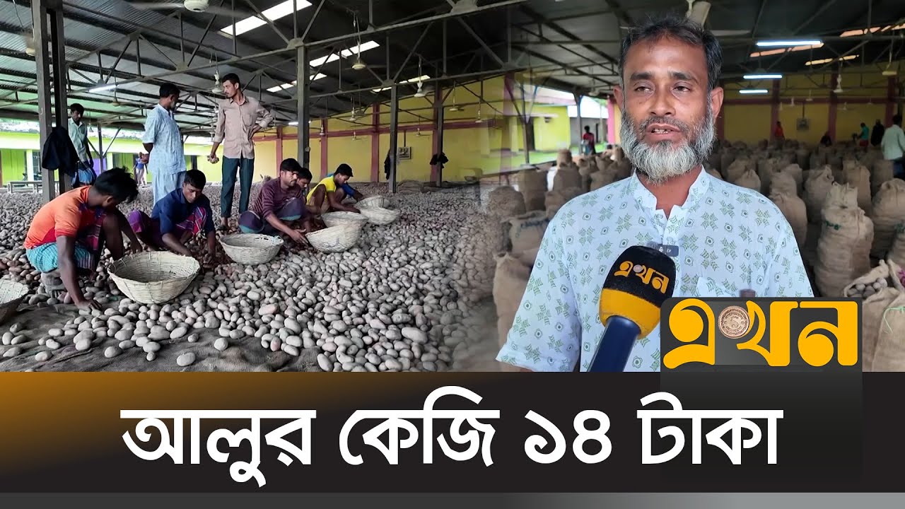 অবিক্রিত আলু নিয়ে বিপাকে জামালপুরের কৃষক | Potato Price | Jamalpur News | EKhon TV
