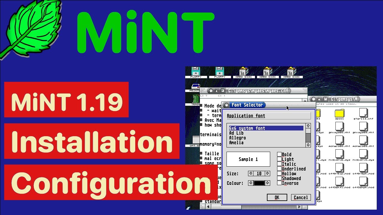 How to install and configure MiNT in 2023