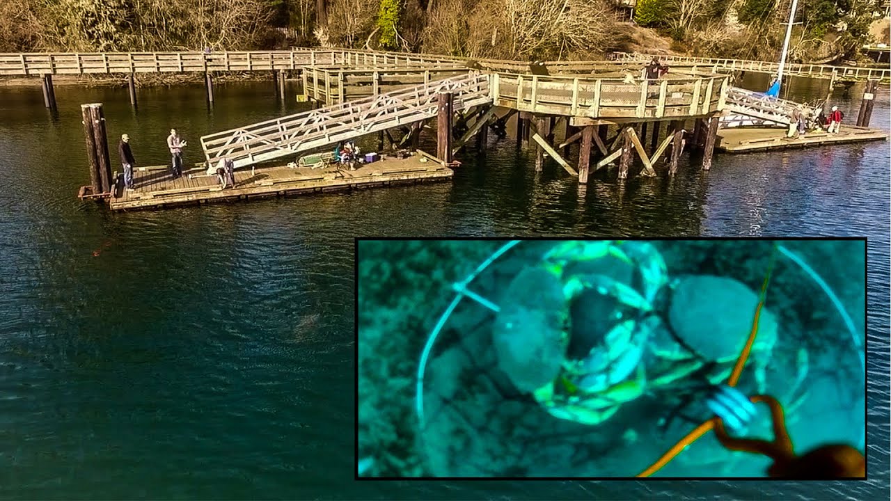 Crabbing off the pier at Sooke B.C.