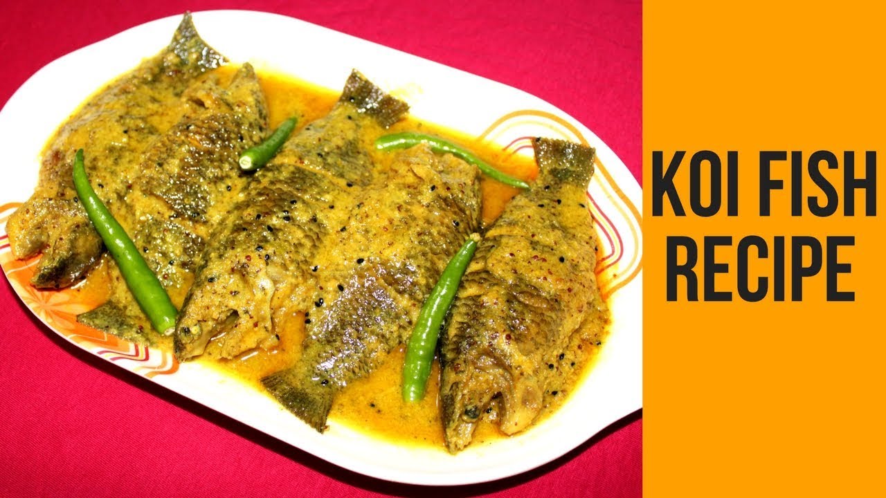 Tel Koi Fish Recipe | Climbing Perch Fish Curry Recipe | Mustard Koi Fish | Coconut Koi Fish  | Nian