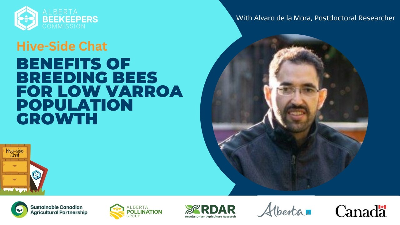 Hive-side Chat: Benefits of Breeding Bees for Low Varroa Population Growth