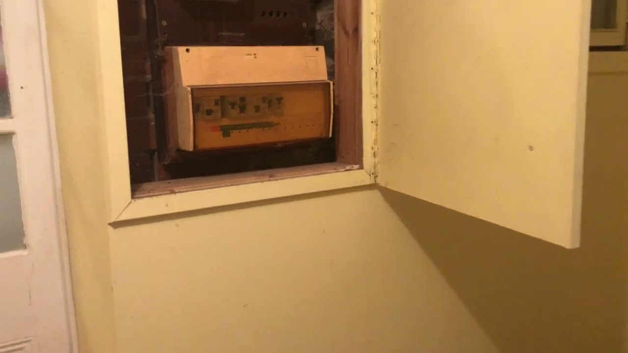There’s a cat in the wall! July 31st, 2020.