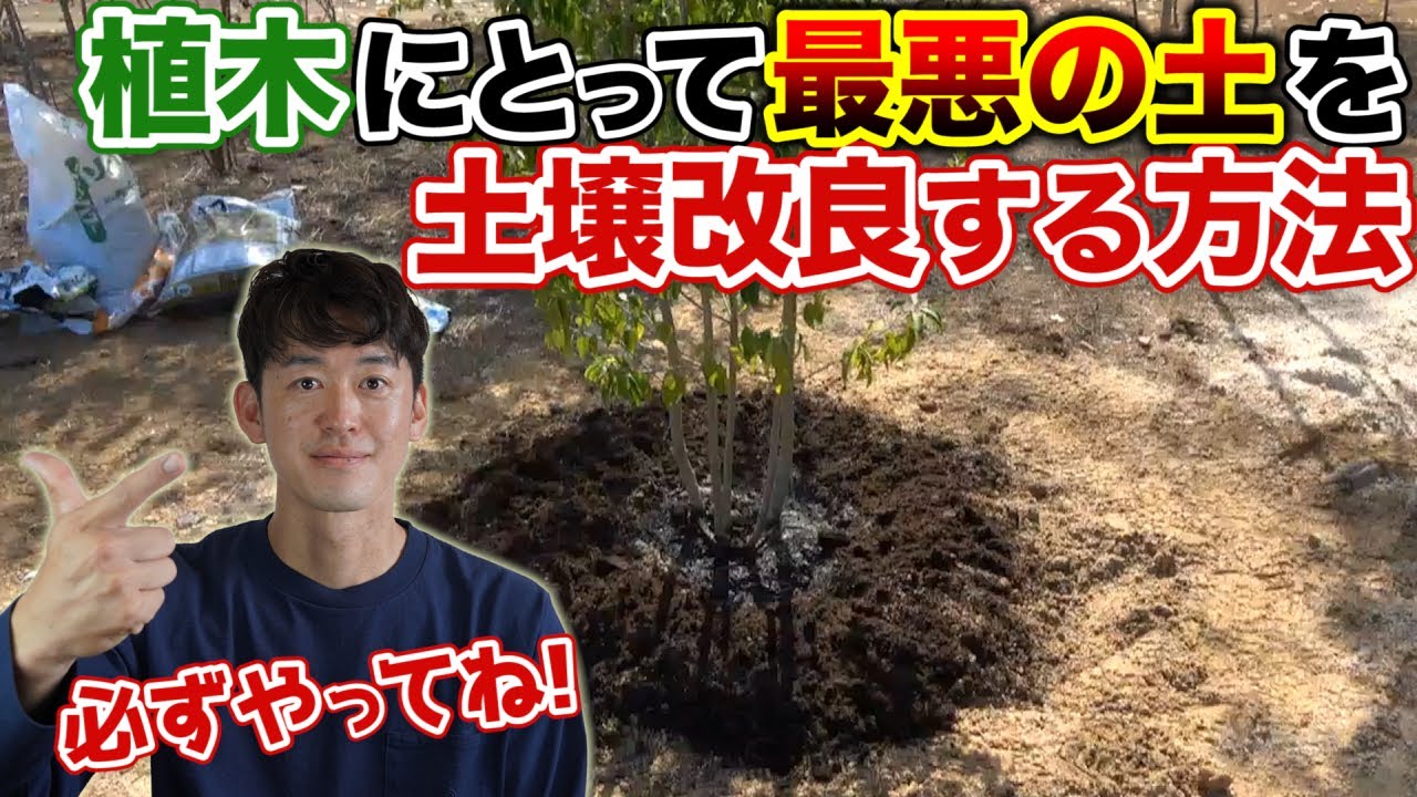 【最悪の土を山の様な土に】植木を植えつける前に必ず確認すべき土壌改良の決定版