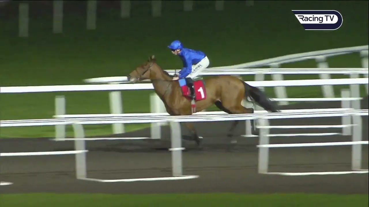 Maho Bay looks useful on debut for Godolphin | Racing TV