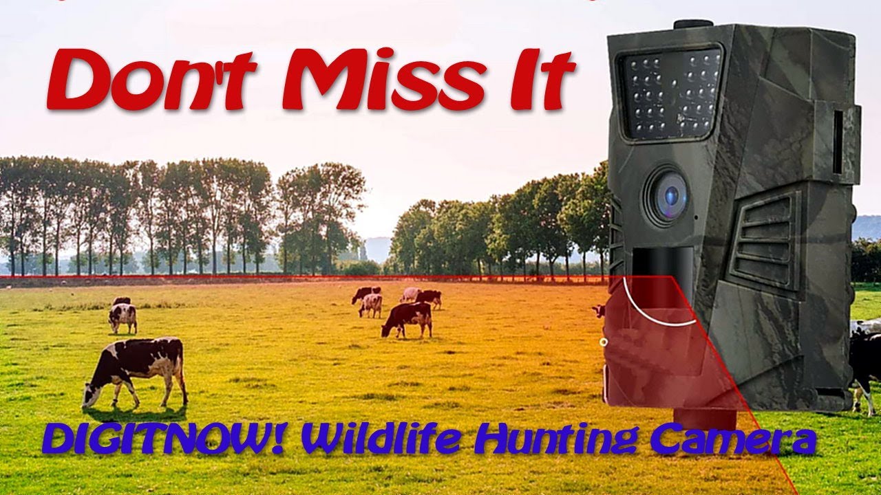 DIGITNOW! Wildlife Hunting Camera HT 001