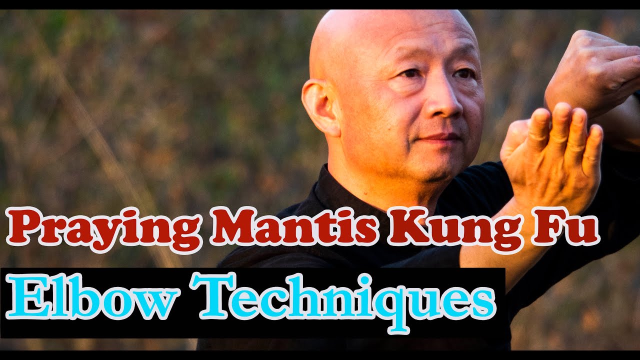 Kung Fu training 2021: Praying Mantis Kung Fu – Elbow Technique