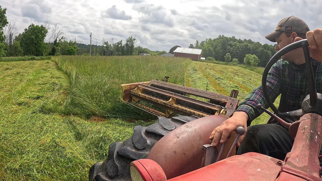 Cutting/ tedding first hay of the season. Can we make dry hay in 32 hrs?