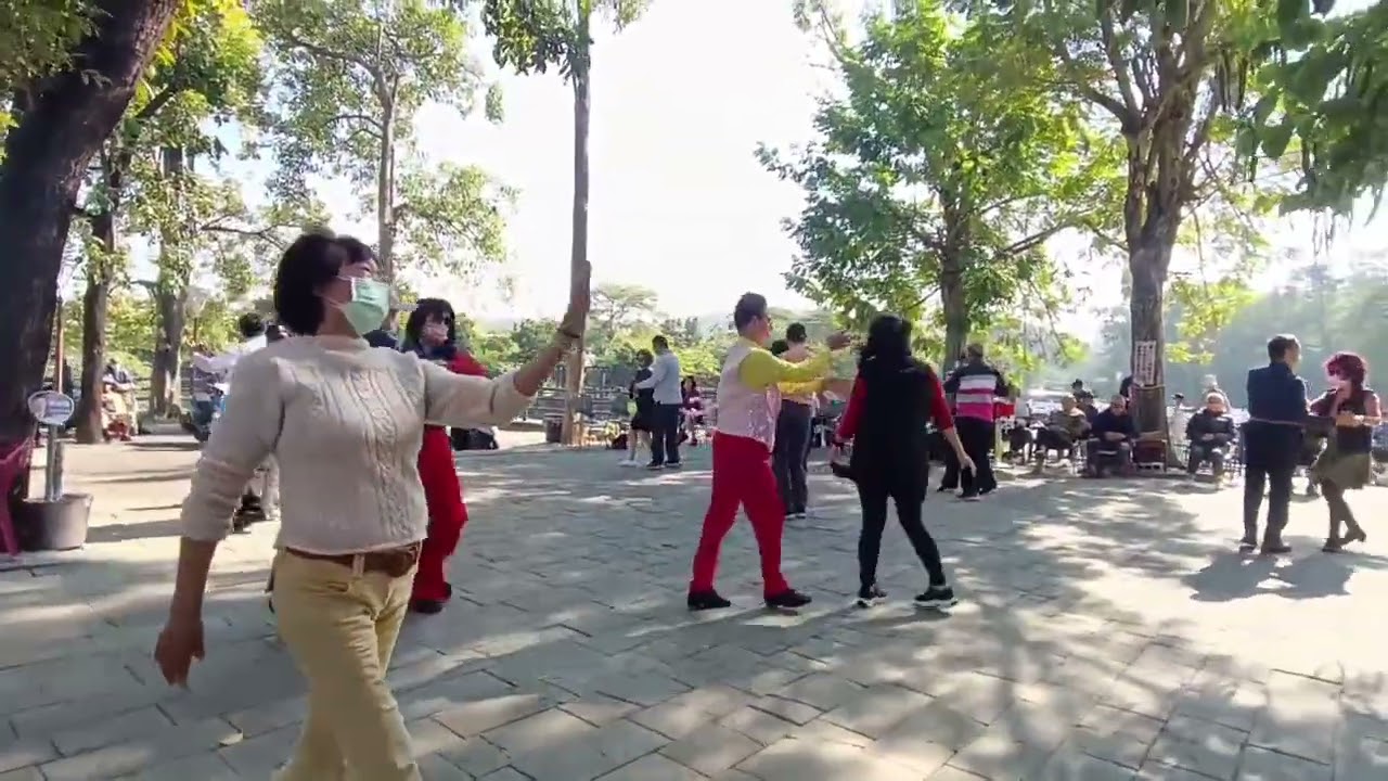 2026年1月5日~柏村.育琴：探戈舞曲~金獅湖廣場樂團公益