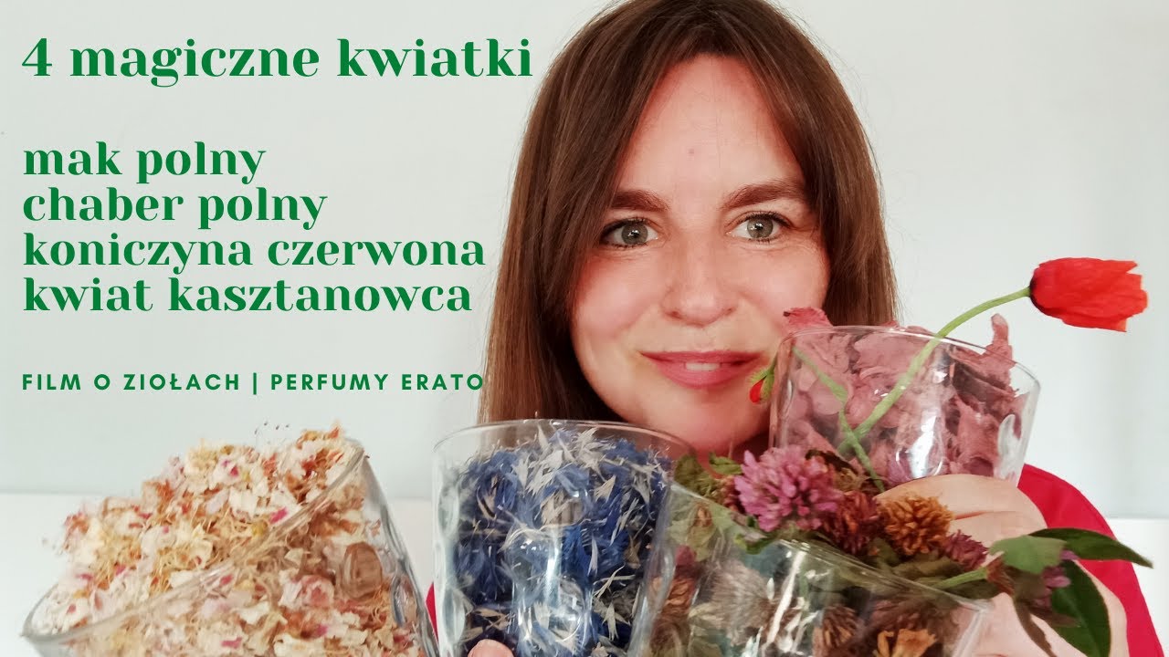 4 magiczne  kwiatki: mak, chaber, koniczyna czerwona, kwiat kasztanowca