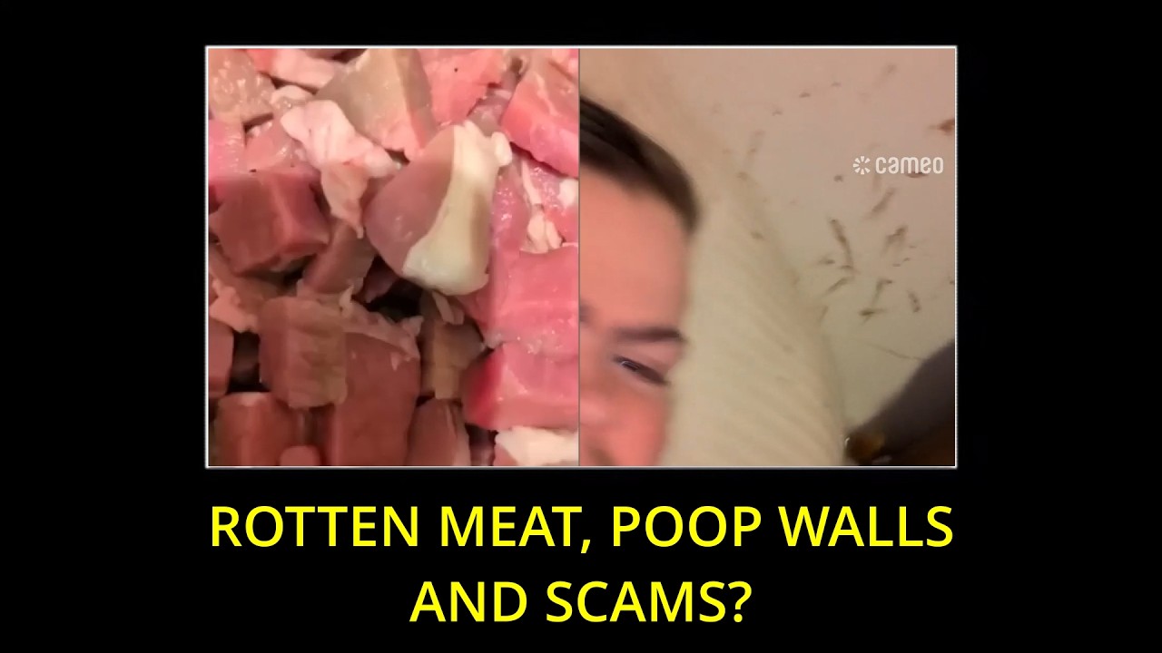 Nova Online's is in his HORRORCOW ARC l Tiktok Recap l February 2026, Week 3