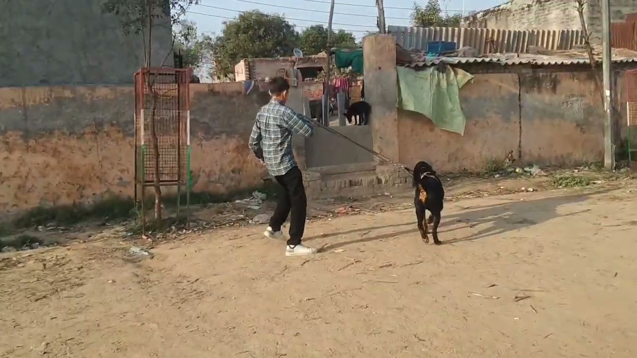 Exploring mala and Full masti 