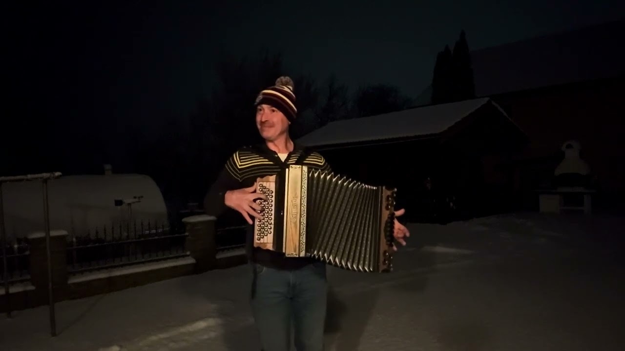 Schneewalzer-Steirische Harmonika 