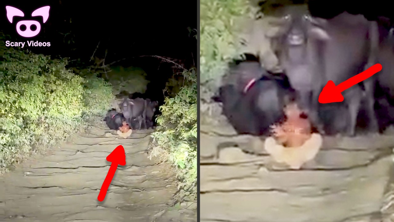 СТРАШНЫЕ ВИДЕО, настолько реалистичные, что из-за них людей уволили.