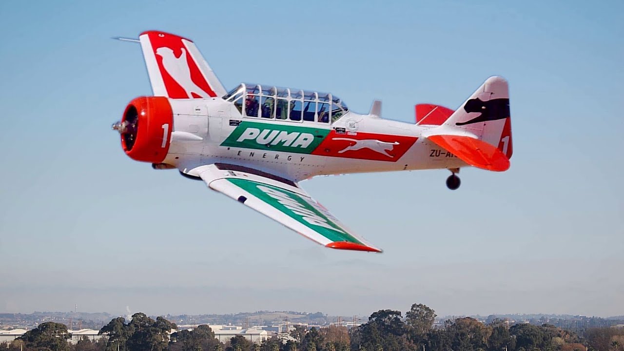 Puma Energy Flying Lions - Rand Airshow