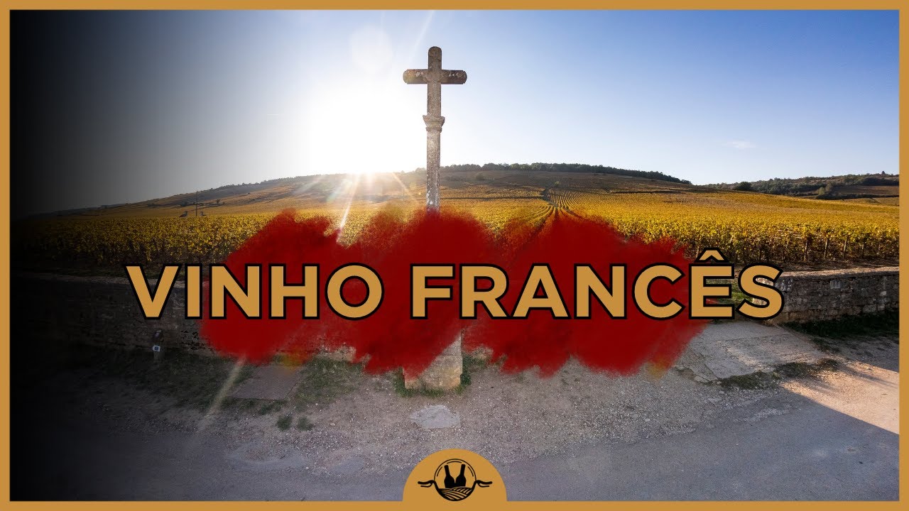 TUDO O QUE VOCÊ PRECISA SABER SOBRE VINHO FRANCÊS