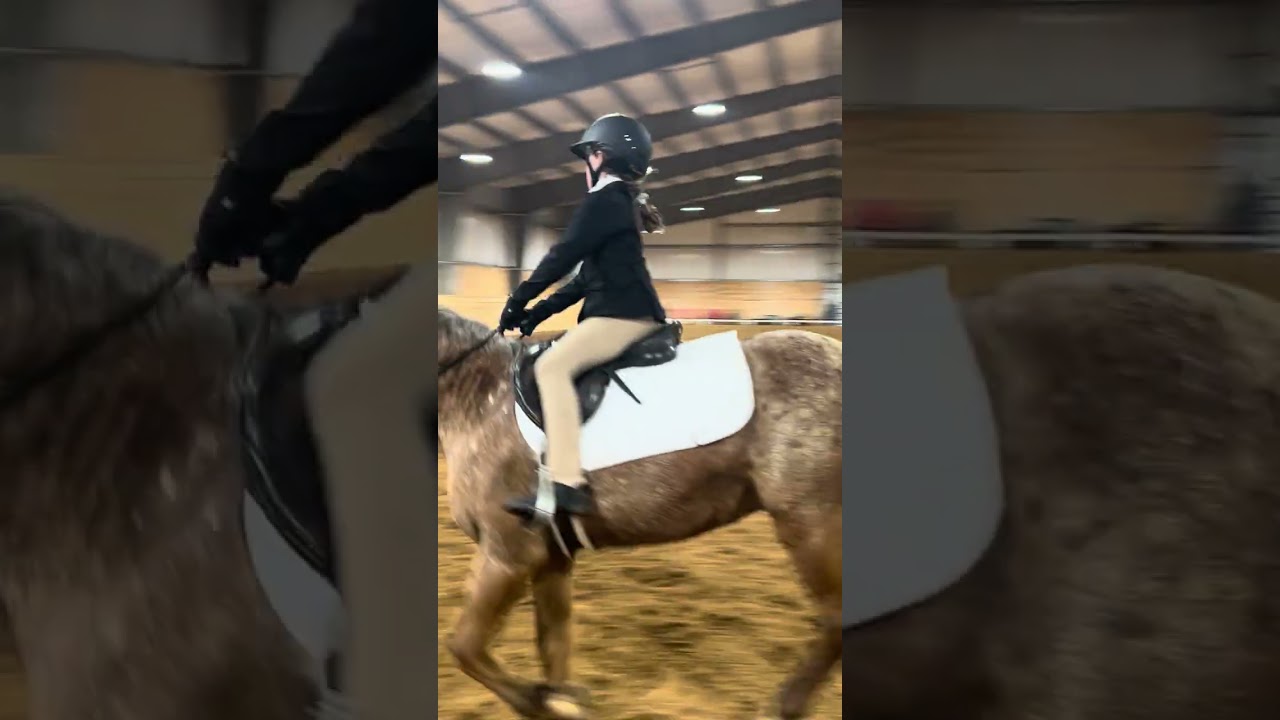 Miranda Saulter Training level test A