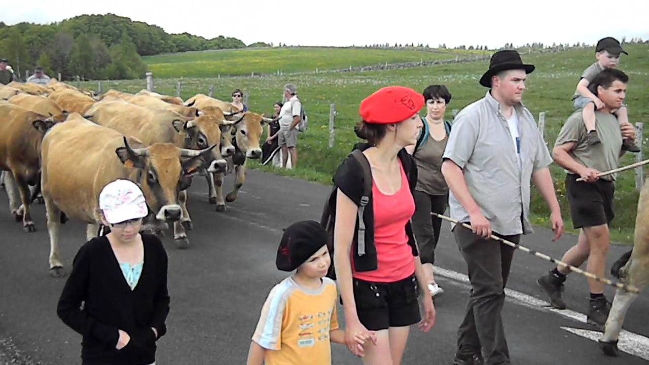 Aubrac