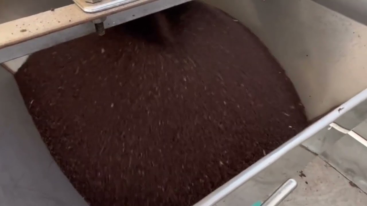 Screw rapeseed oil press machine test site#oilpress #avocado #freshpressedoliveoil #oilpresses