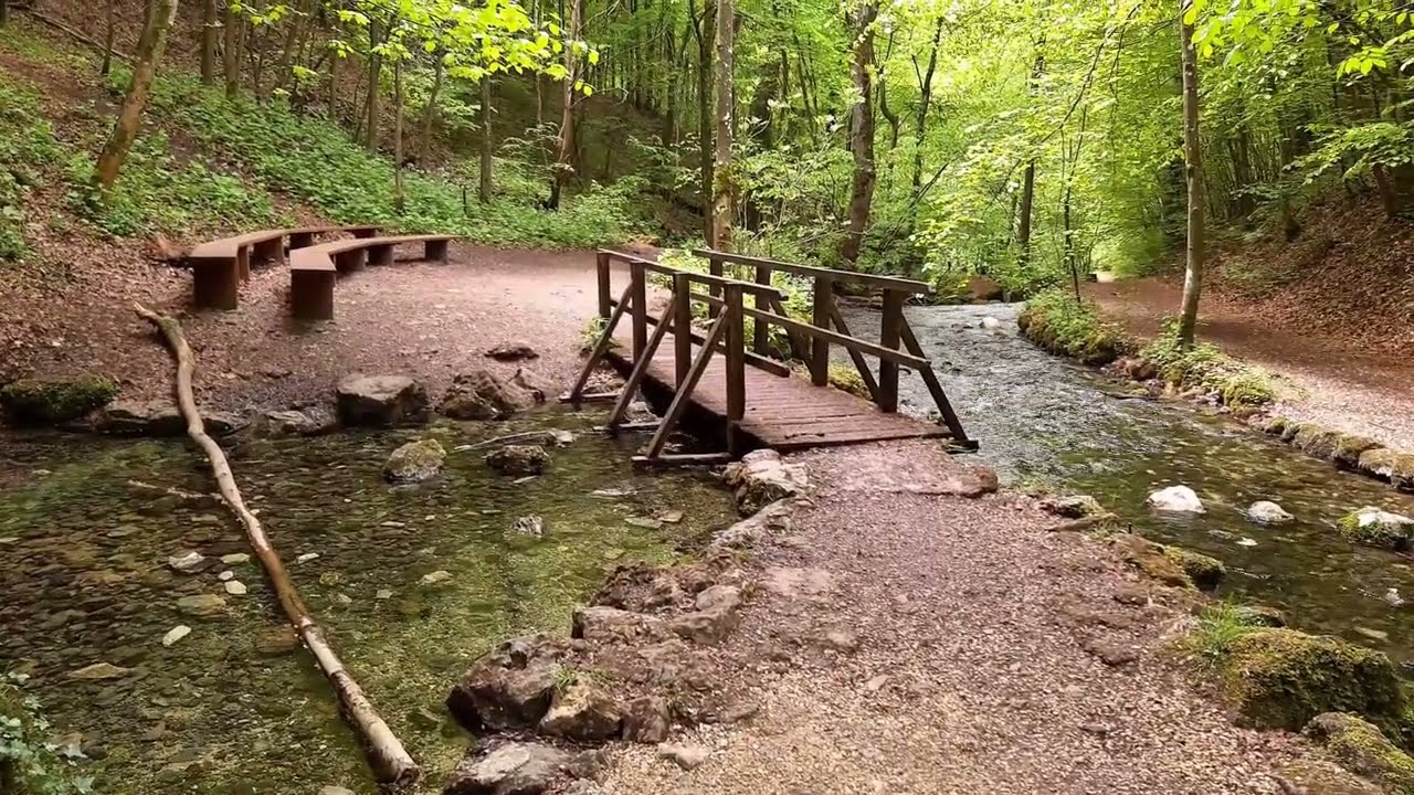 Serene Nature: Ultimate Relaxation with Soothing Sounds and Scenic Views