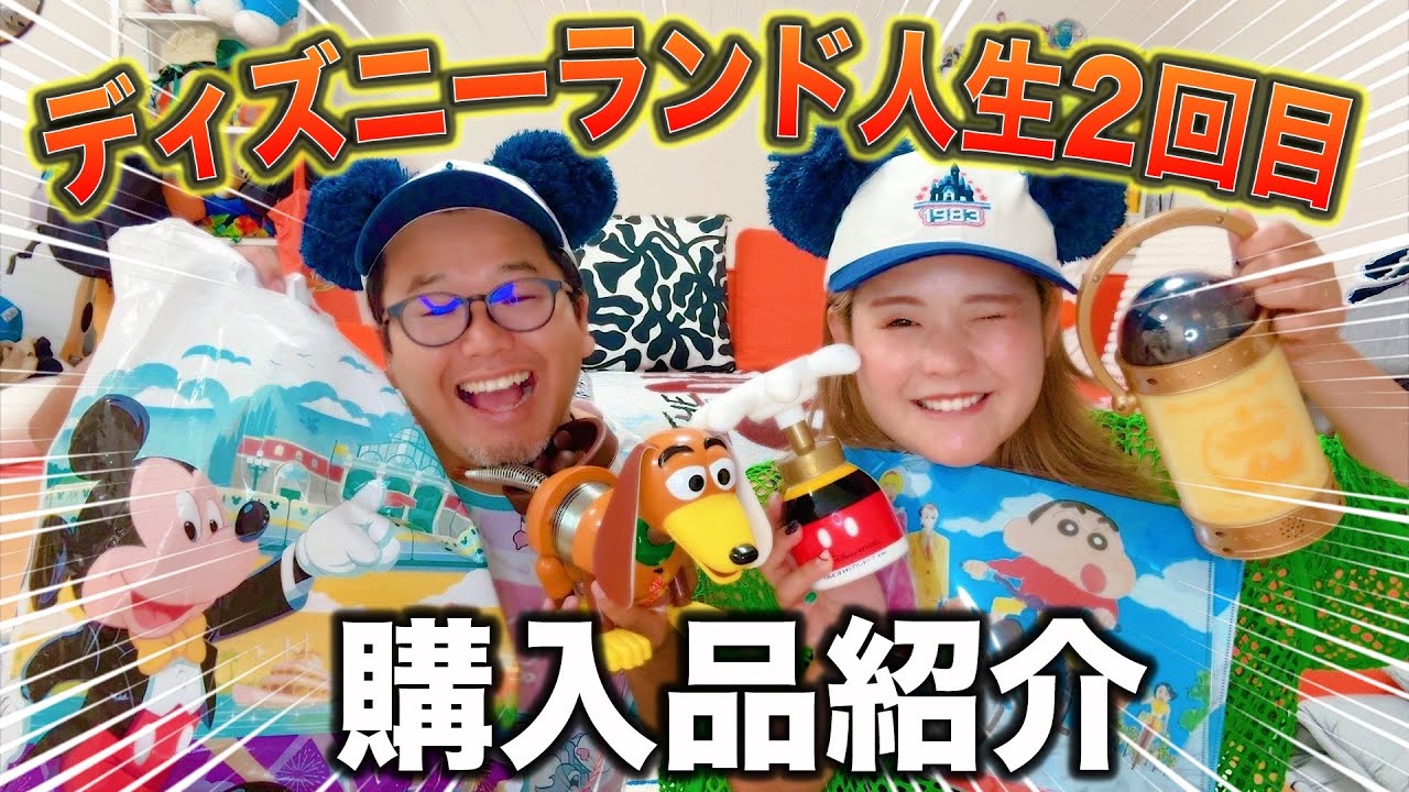 【ディズニー最高すぎた】東京旅行の話が夜中テンションで大暴走www