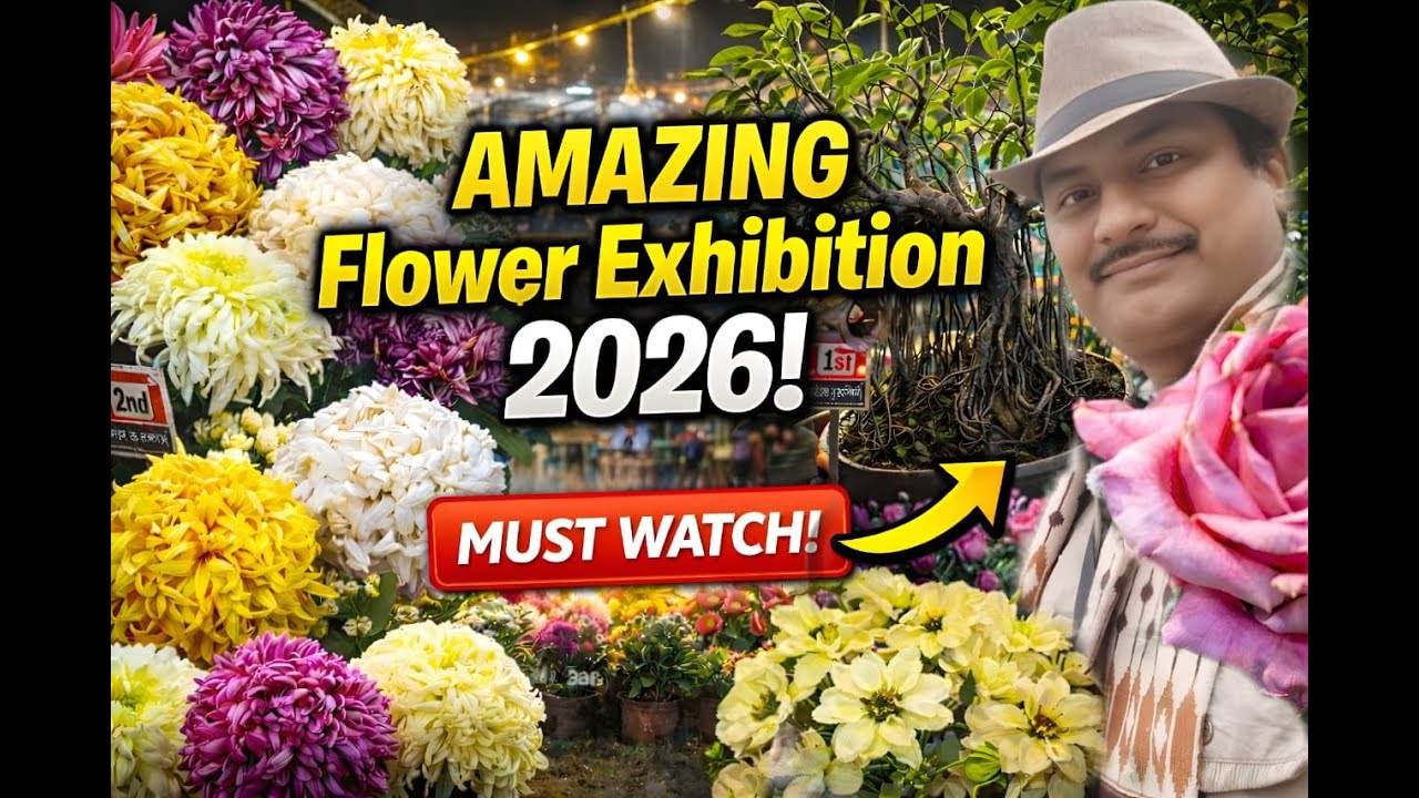 শুরু হয়ে গেছে চাকদহ পুষ্প-প্রদর্শনী 2026. কোথায় হচ্ছে ? কতদিন চলবে ? এই রইলো তার ভিডিও ।