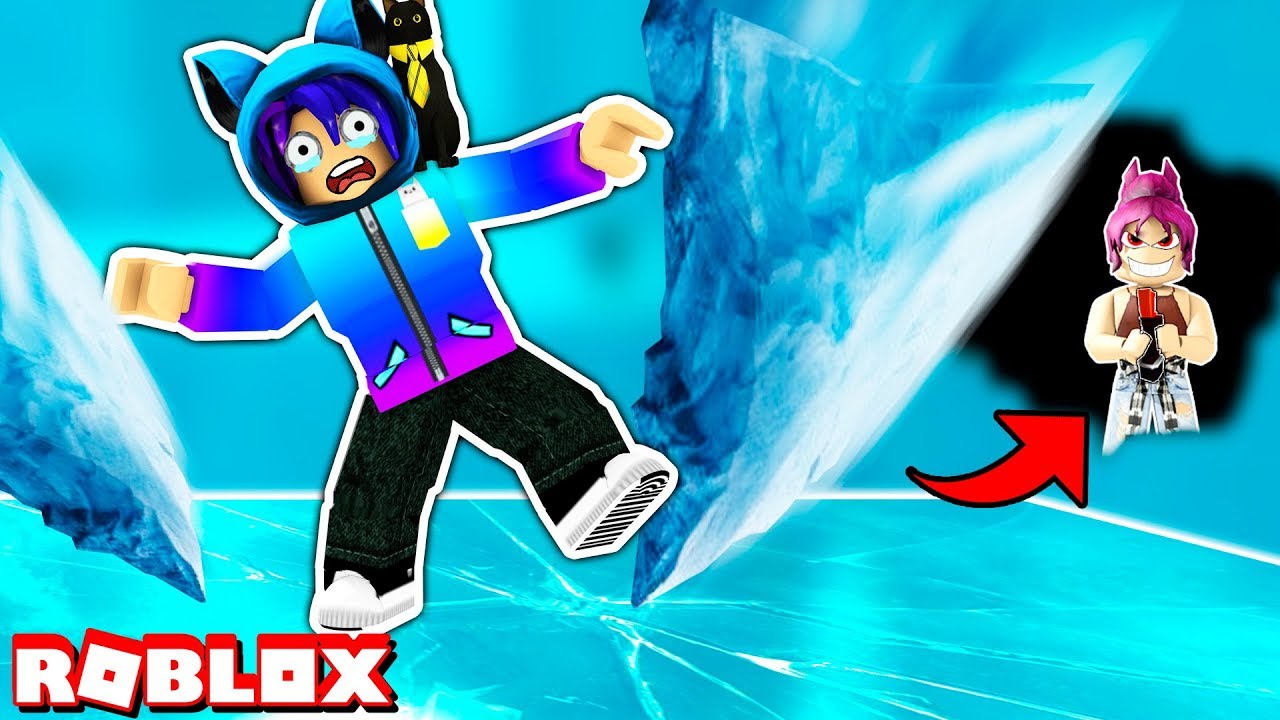 A BULLY TARGETTED ME DURING ROBLOX DEATHRUN! But Then This Happened...