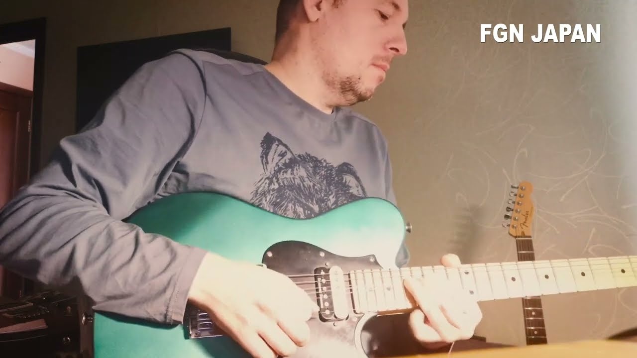 Guitars comparison:  PRS usa / FGN Japan / Yamaha Japan / Fender custom usa  