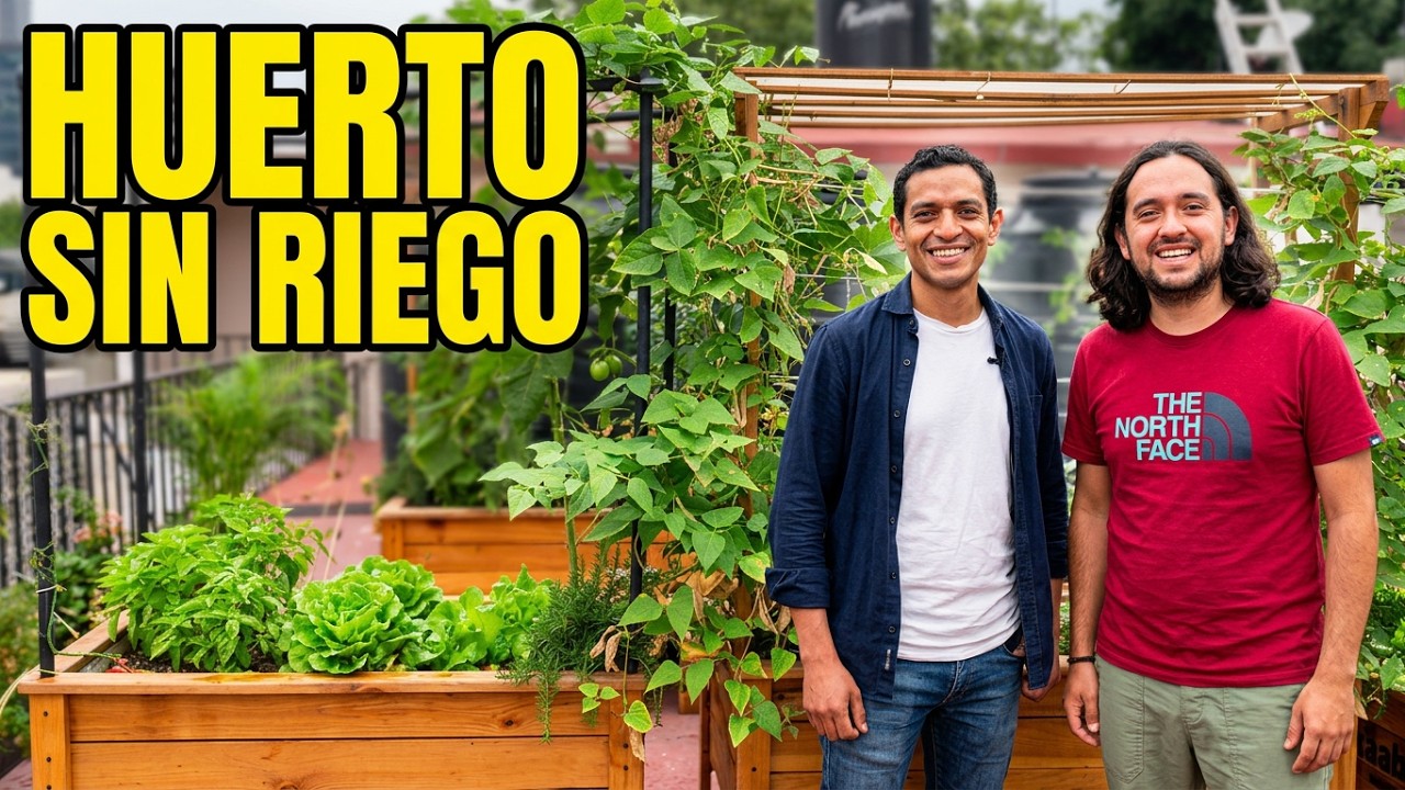 Construyen HUERTOS EN CASA Que No Necesitas Regarlos/ Huerto Ecológico💦🥬🍅🪴