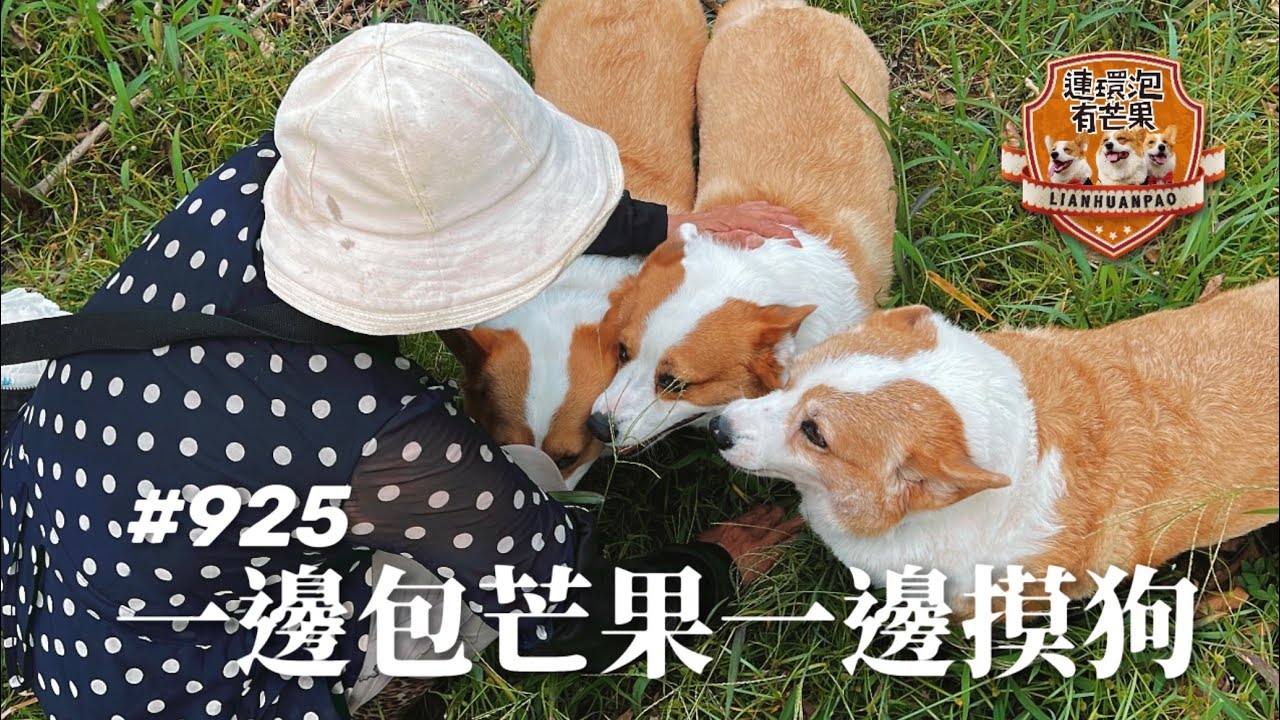 ［散步直播］925_ 一邊包芒果一邊摸狗