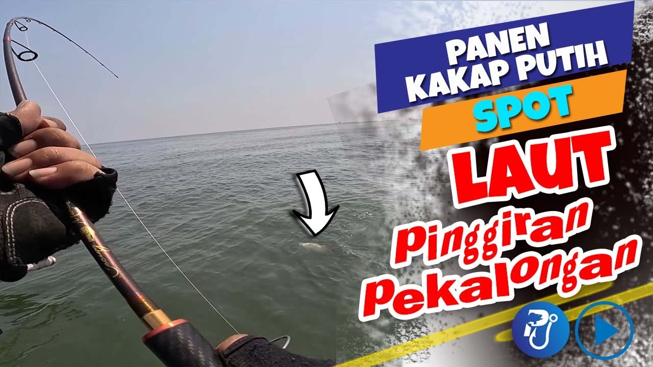 PANEN KAKAP PUTIH, CUMA DI SPOT PINGGIRAN LAUT