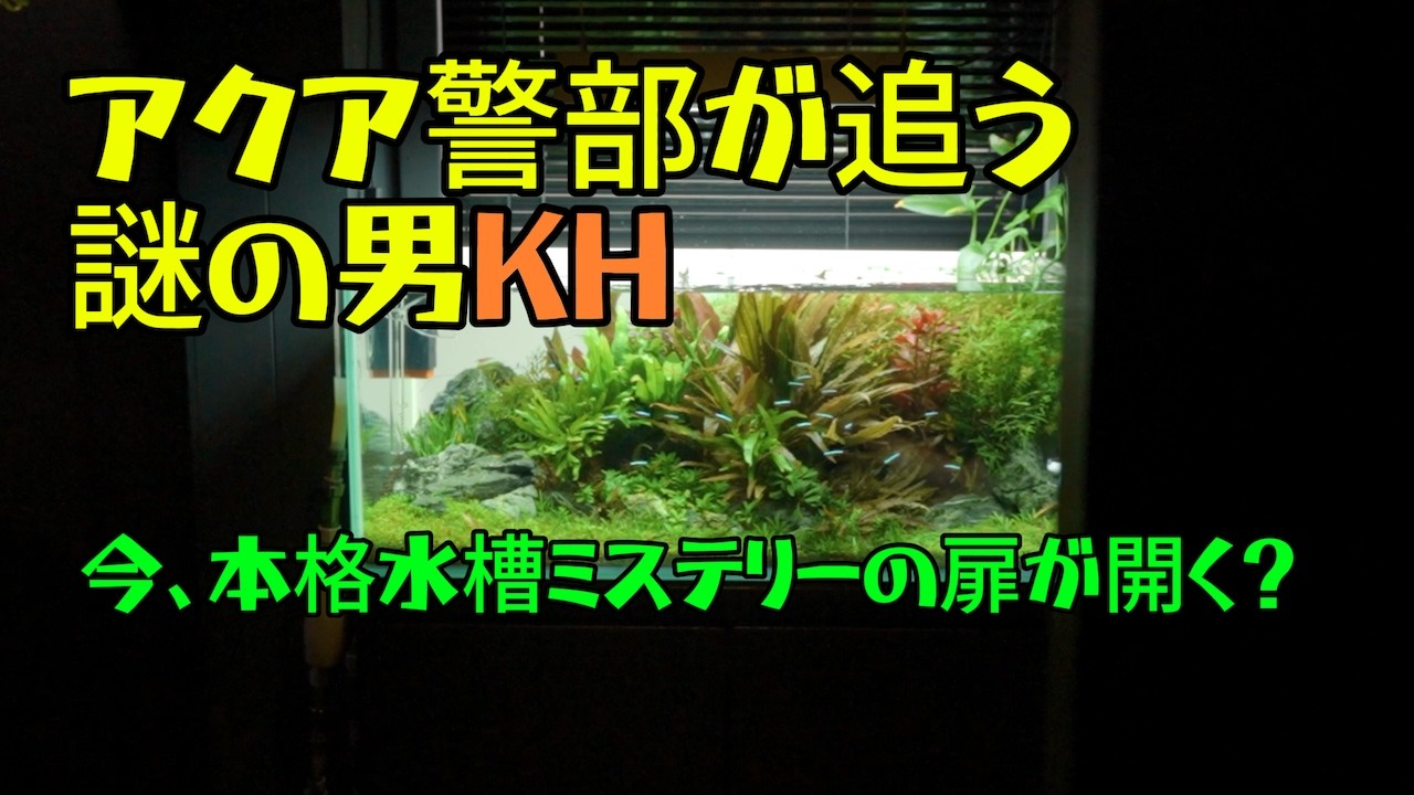 【アクアリウム】アクア警部が追う！簡単過ぎず難し過ぎないKH【BAR】