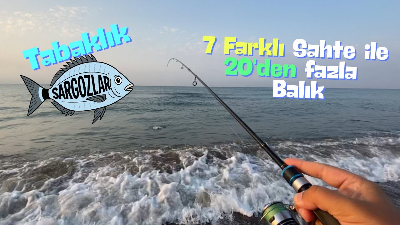 LRF Tabaklık Sargozlar / 20'den Fazla Balık / Mersin Balık Avı / Hanfish Zıpır Bal Karides #fishing