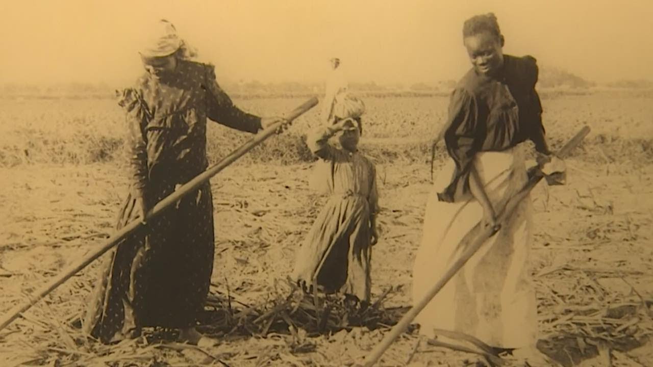 History of slavery at Brazoria County plantation preserved to ensure its dark past isn't forgotten