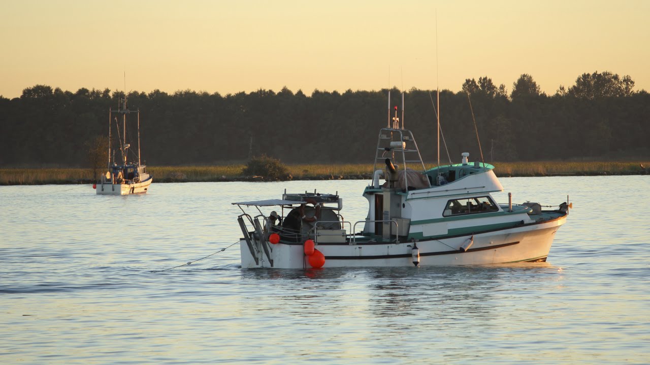 Harvesting Wild BC Salmon