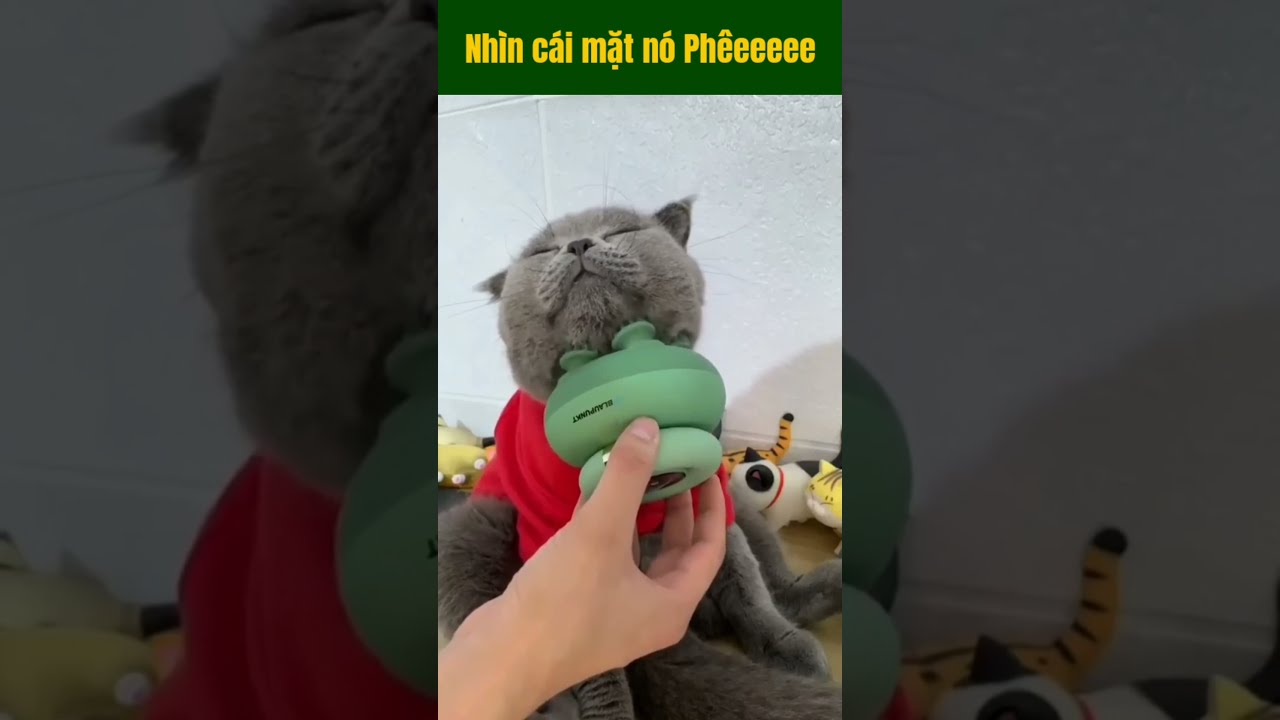 Phê ê ê ê 